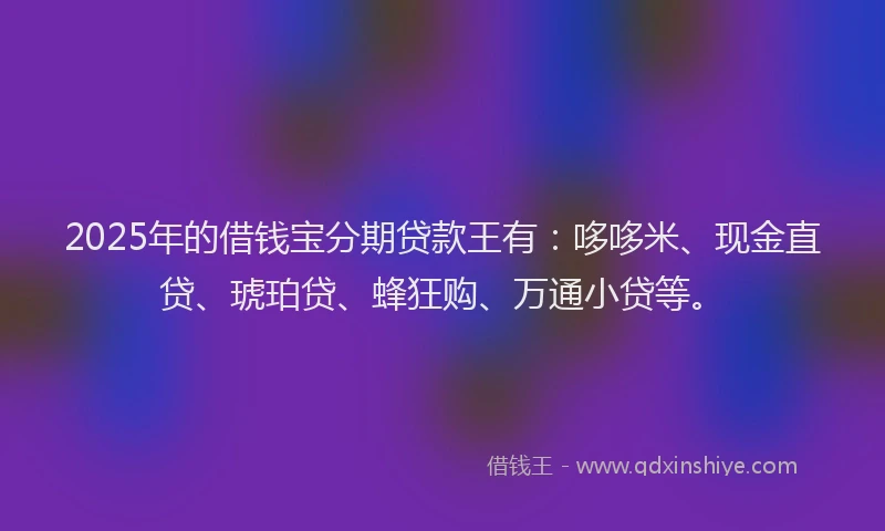 2025年的借钱宝分期贷款王有：哆哆米、现金直贷、琥珀贷、蜂狂购、万通小贷等。