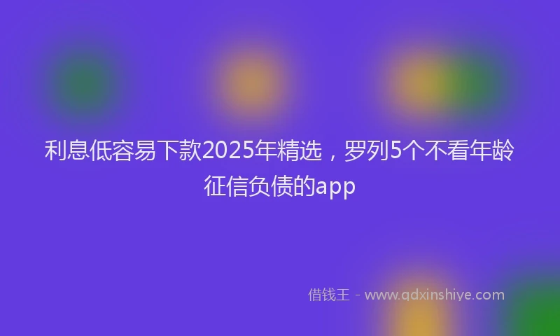 利息低容易下款2025年精选，罗列5个不看年龄征信负债的app