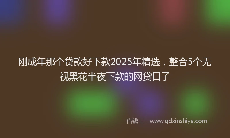 刚成年那个贷款好下款2025年精选，整合5个无视黑花半夜下款的网贷口子
