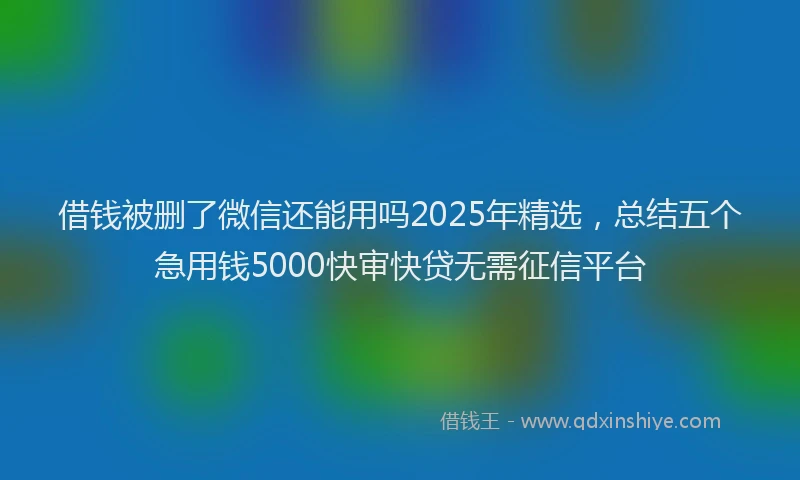借钱被删了微信还能用吗2025年精选，总结五个急用钱5000快审快贷无需征信平台
