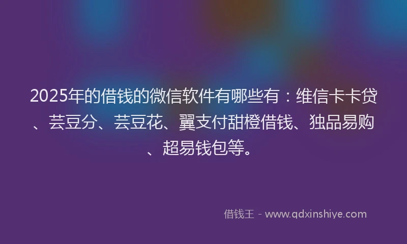 2025年的借钱的微信软件有哪些有：维信卡卡贷、芸豆分、芸豆花、翼支付甜橙借钱、独品易购、超易钱包等。