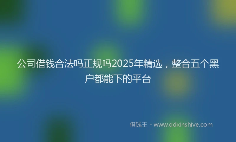 公司借钱合法吗正规吗2025年精选，整合五个黑户都能下的平台