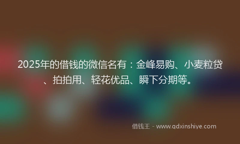 2025年的借钱的微信名有：金峰易购、小麦粒贷、拍拍用、轻花优品、瞬下分期等。