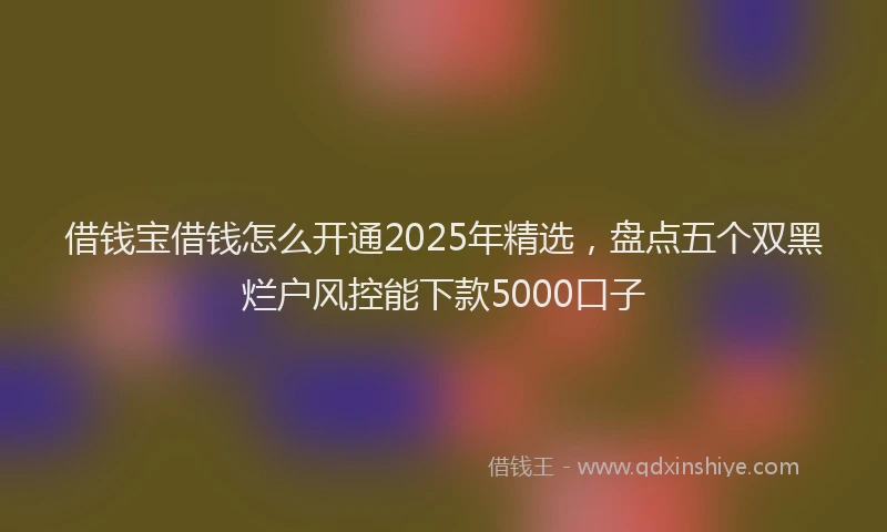 借钱宝借钱怎么开通2025年精选，盘点五个双黑烂户风控能下款5000口子
