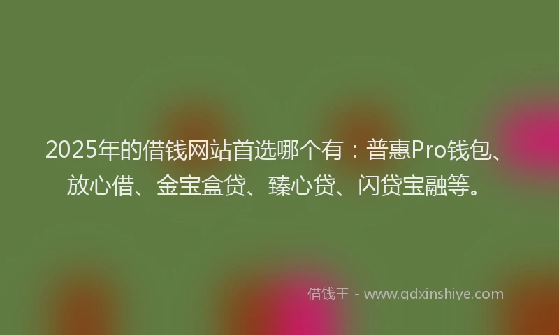 2025年的借钱网站首选哪个有：普惠Pro钱包、放心借、金宝盒贷、臻心贷、闪贷宝融等。