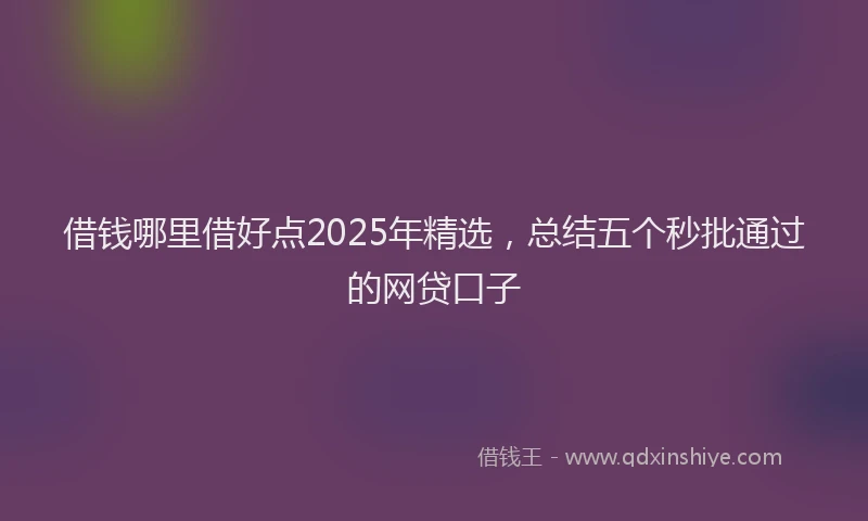 借钱哪里借好点2025年精选，总结五个秒批通过的网贷口子