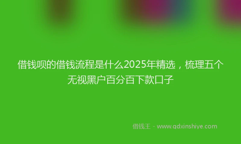 借钱呗的借钱流程是什么2025年精选，梳理五个无视黑户百分百下款口子