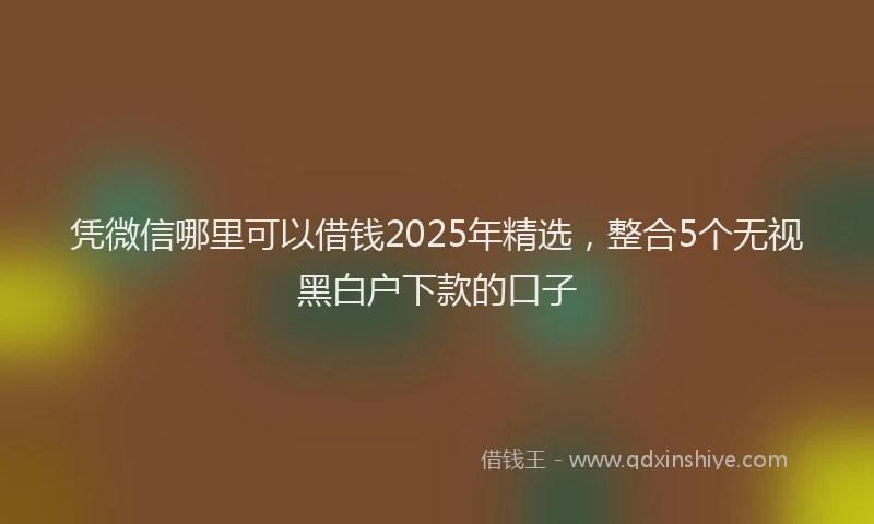 凭微信哪里可以借钱2025年精选，整合5个无视黑白户下款的口子
