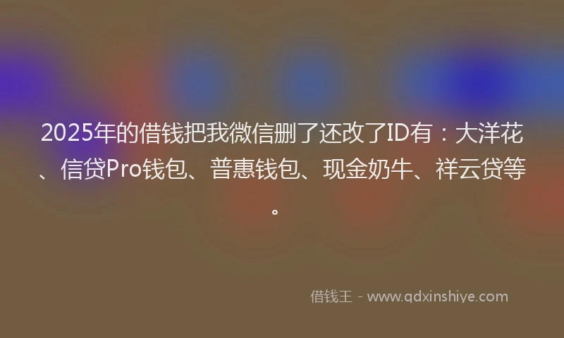 2025年的借钱把我微信删了还改了ID有：大洋花、信贷Pro钱包、普惠钱包、现金奶牛、祥云贷等。