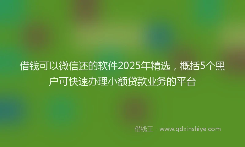借钱可以微信还的软件2025年精选，概括5个黑户可快速办理小额贷款业务的平台