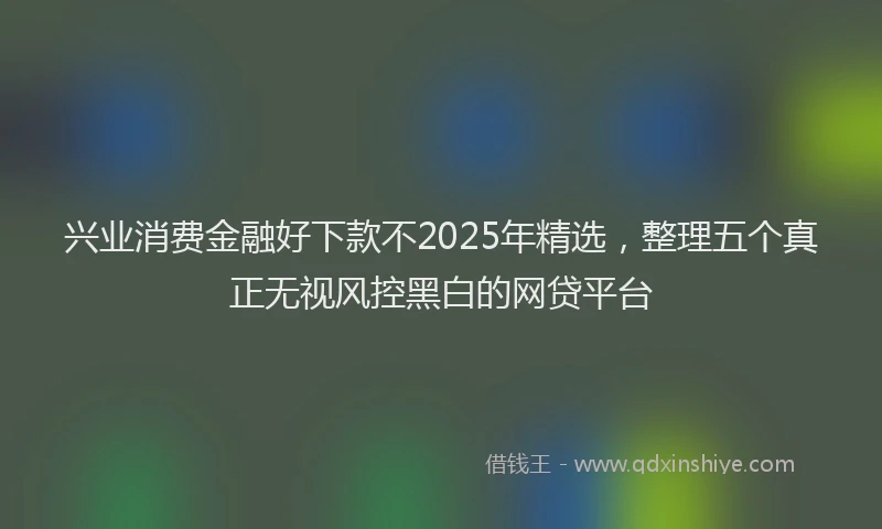 兴业消费金融好下款不2025年精选，整理五个真正无视风控黑白的网贷平台