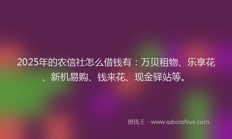 2025年的农信社怎么借钱有：万贝租物、乐享花、新机易购、钱来花、现金驿站等。