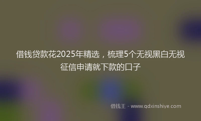 借钱贷款花2025年精选，梳理5个无视黑白无视征信申请就下款的口子
