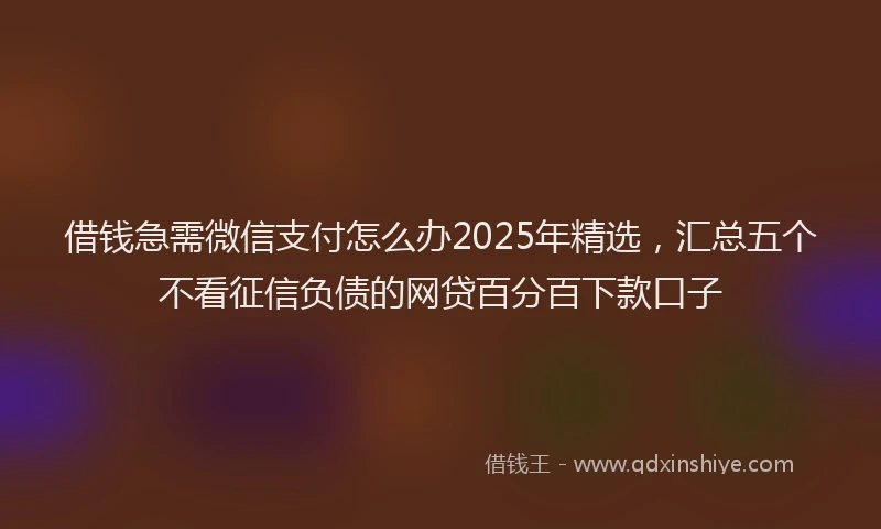 借钱急需微信支付怎么办2025年精选，汇总五个不看征信负债的网贷百分百下款口子