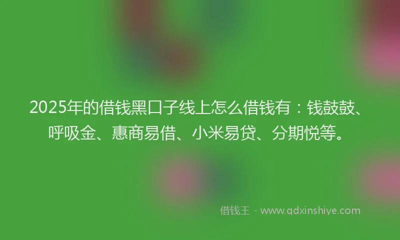 2025年的借钱黑口子线上怎么借钱有：钱鼓鼓、呼吸金、惠商易借、小米易贷、分期悦等。