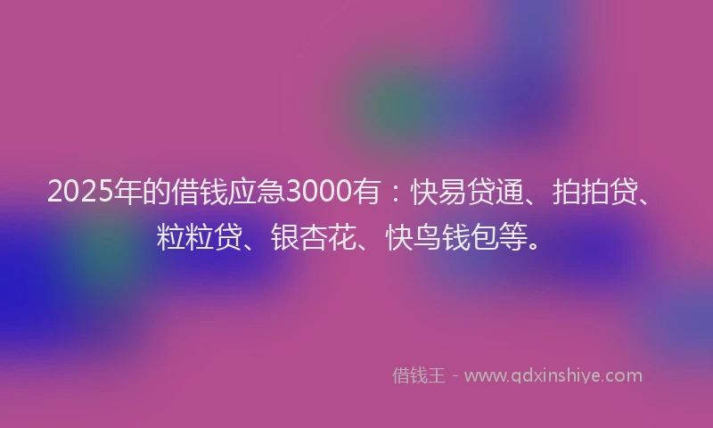 2025年的借钱应急3000有：快易贷通、拍拍贷、粒粒贷、银杏花、快鸟钱包等。