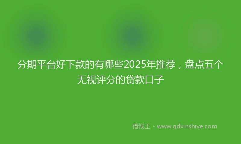 分期平台好下款的有哪些2025年推荐，盘点五个无视评分的贷款口子