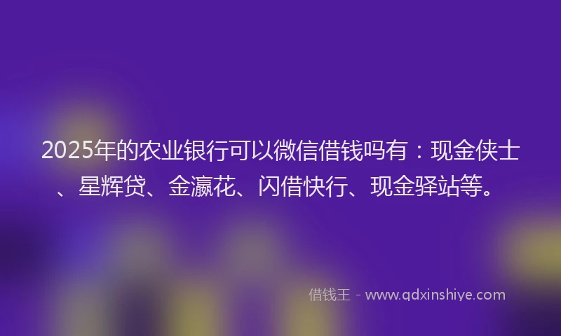 2025年的农业银行可以微信借钱吗有：现金侠士、星辉贷、金瀛花、闪借快行、现金驿站等。