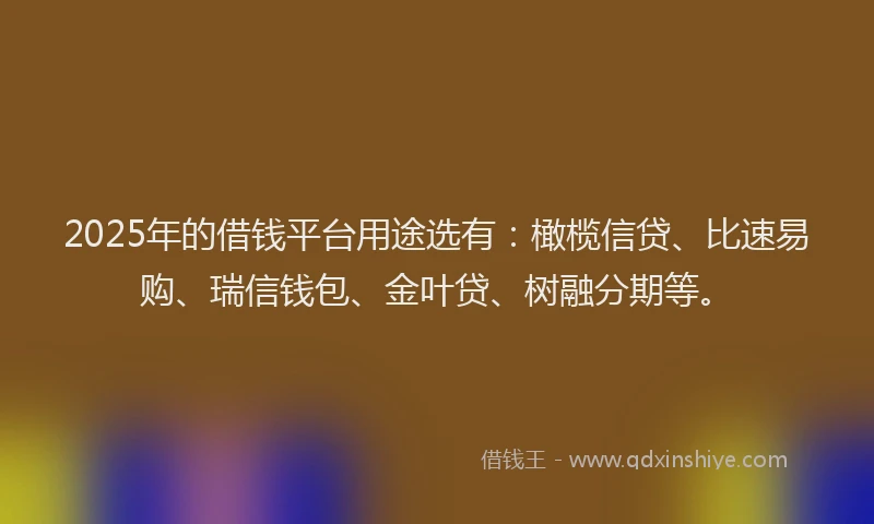 2025年的借钱平台用途选有：橄榄信贷、比速易购、瑞信钱包、金叶贷、树融分期等。