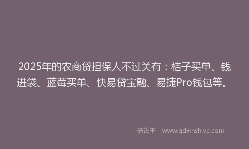2025年的农商贷担保人不过关有：桔子买单、钱进袋、蓝莓买单、快易贷宝融、易捷Pro钱包等。