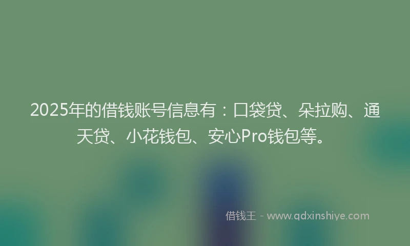 2025年的借钱账号信息有：口袋贷、朵拉购、通天贷、小花钱包、安心Pro钱包等。