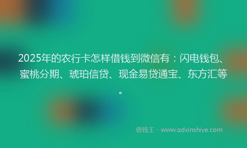 2025年的农行卡怎样借钱到微信有：闪电钱包、蜜桃分期、琥珀信贷、现金易贷通宝、东方汇等。