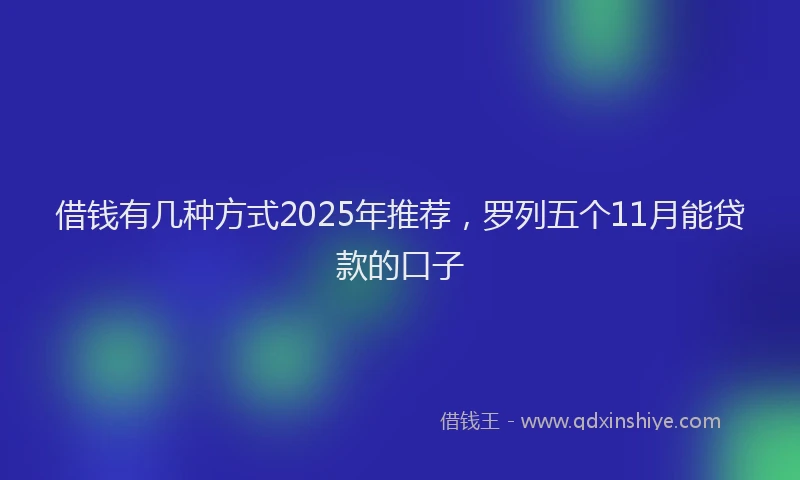 借钱有几种方式2025年推荐，罗列五个11月能贷款的口子