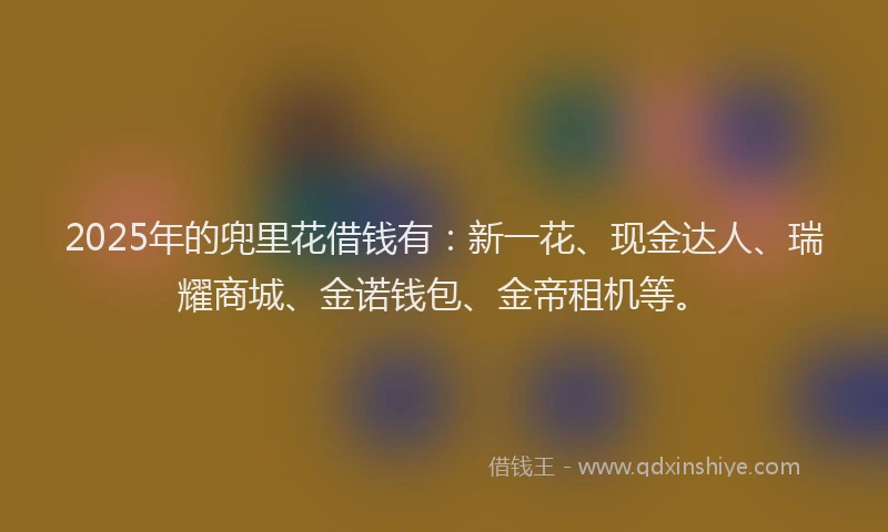2025年的兜里花借钱有：新一花、现金达人、瑞耀商城、金诺钱包、金帝租机等。