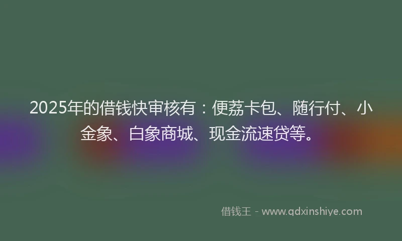 2025年的借钱快审核有：便荔卡包、随行付、小金象、白象商城、现金流速贷等。