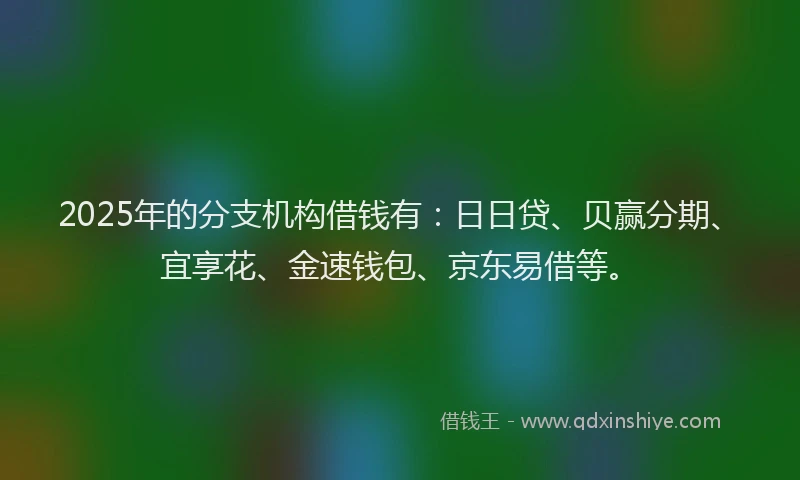 2025年的分支机构借钱有：日日贷、贝赢分期、宜享花、金速钱包、京东易借等。