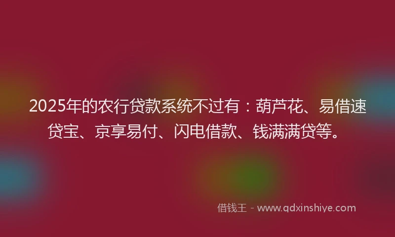 2025年的农行贷款系统不过有：葫芦花、易借速贷宝、京享易付、闪电借款、钱满满贷等。