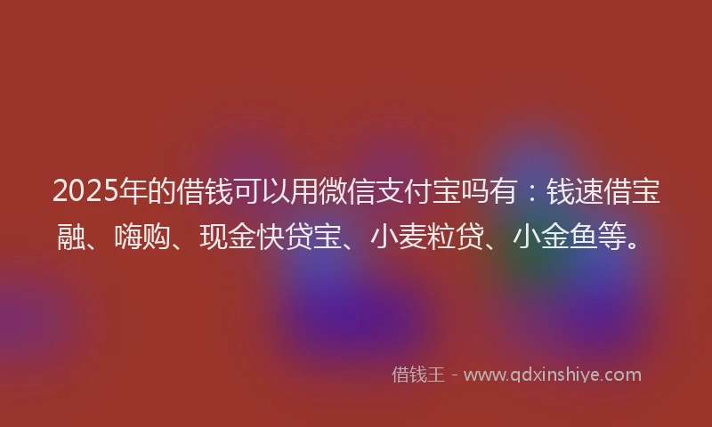 2025年的借钱可以用微信支付宝吗有：钱速借宝融、嗨购、现金快贷宝、小麦粒贷、小金鱼等。