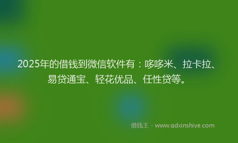 2025年的借钱到微信软件有：哆哆米、拉卡拉、易贷通宝、轻花优品、任性贷等。