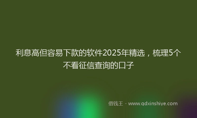 利息高但容易下款的软件2025年精选，梳理5个不看征信查询的口子