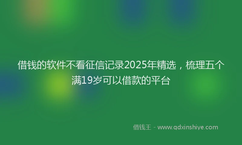 借钱的软件不看征信记录2025年精选，梳理五个满19岁可以借款的平台