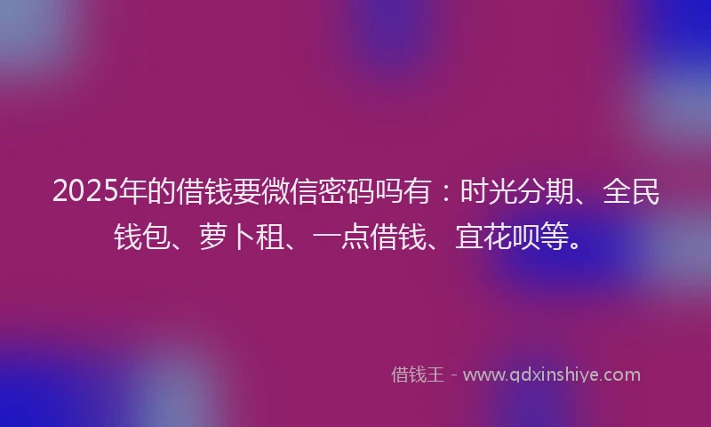 2025年的借钱要微信密码吗有：时光分期、全民钱包、萝卜租、一点借钱、宜花呗等。