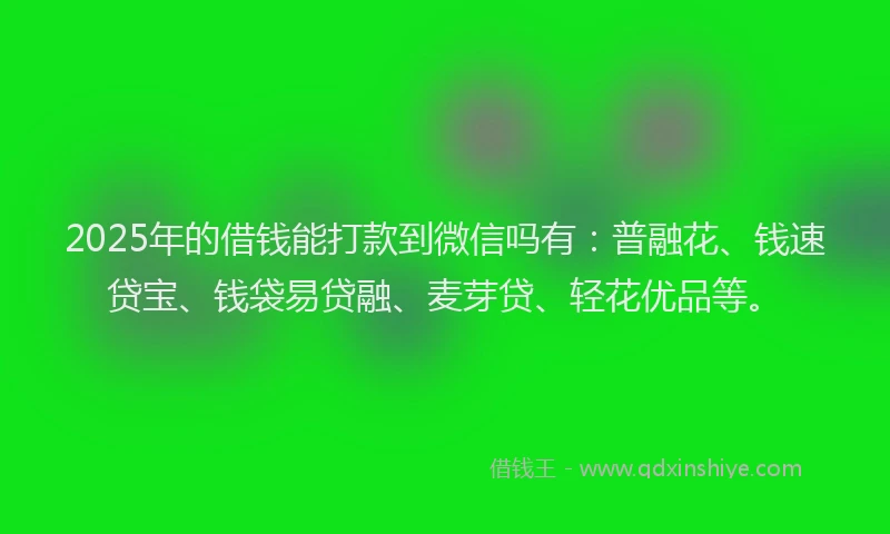 2025年的借钱能打款到微信吗有：普融花、钱速贷宝、钱袋易贷融、麦芽贷、轻花优品等。