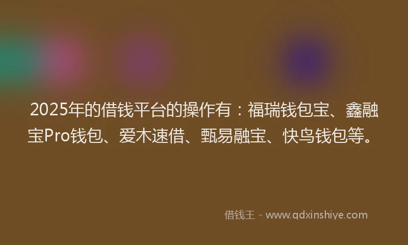 2025年的借钱平台的操作有：福瑞钱包宝、鑫融宝Pro钱包、爱木速借、甄易融宝、快鸟钱包等。