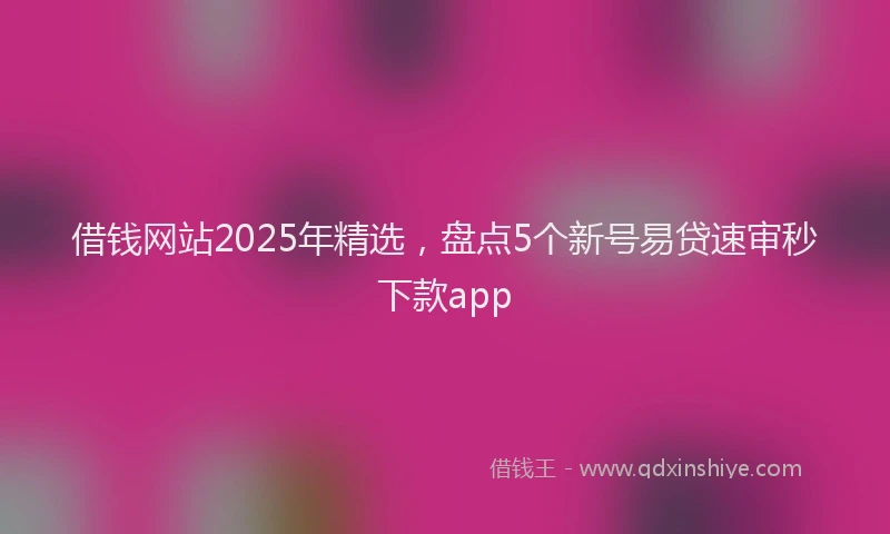 借钱网站2025年精选，盘点5个新号易贷速审秒下款app