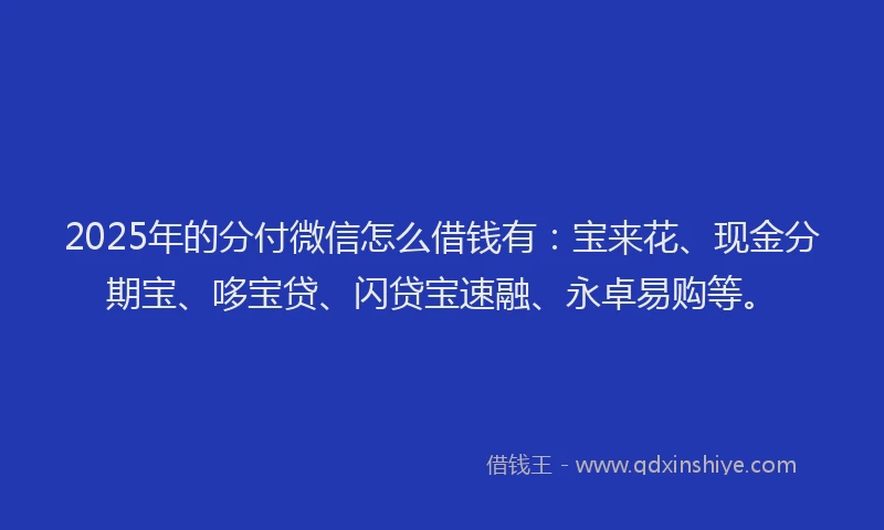 2025年的分付微信怎么借钱有：宝来花、现金分期宝、哆宝贷、闪贷宝速融、永卓易购等。