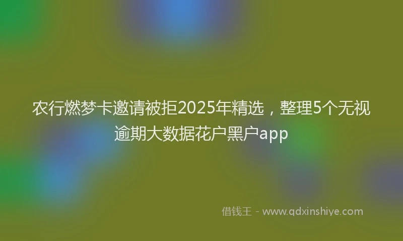 农行燃梦卡邀请被拒2025年精选，整理5个无视逾期大数据花户黑户app