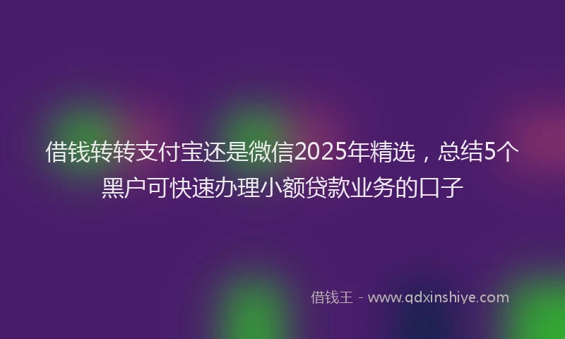 借钱转转支付宝还是微信2025年精选，总结5个黑户可快速办理小额贷款业务的口子