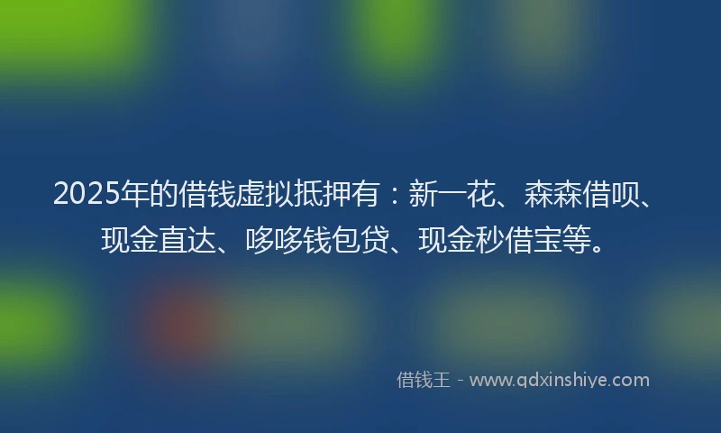2025年的借钱虚拟抵押有：新一花、森森借呗、现金直达、哆哆钱包贷、现金秒借宝等。
