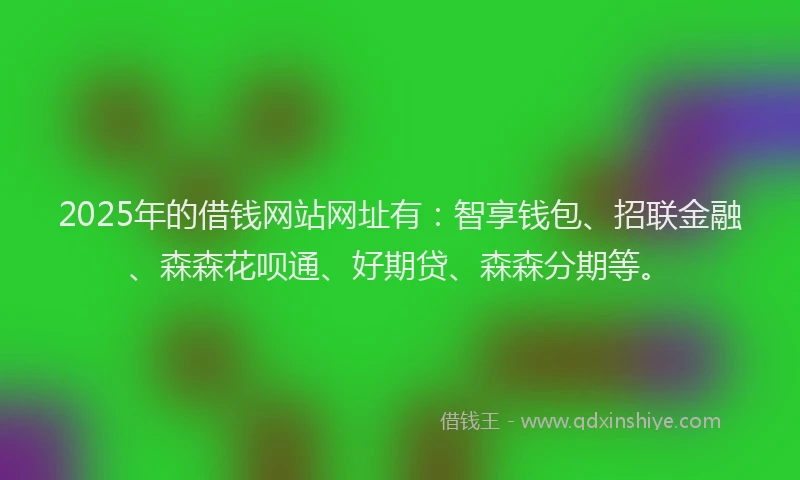 2025年的借钱网站网址有：智享钱包、招联金融、森森花呗通、好期贷、森森分期等。