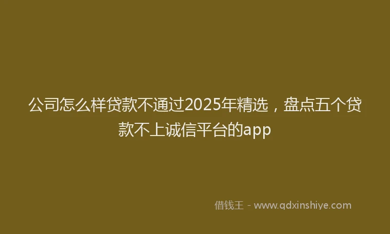 公司怎么样贷款不通过2025年精选，盘点五个贷款不上诚信平台的app