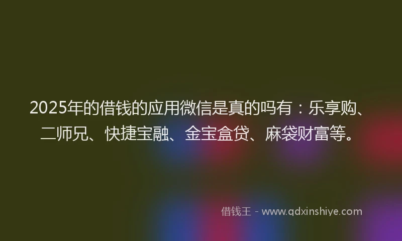 2025年的借钱的应用微信是真的吗有：乐享购、二师兄、快捷宝融、金宝盒贷、麻袋财富等。