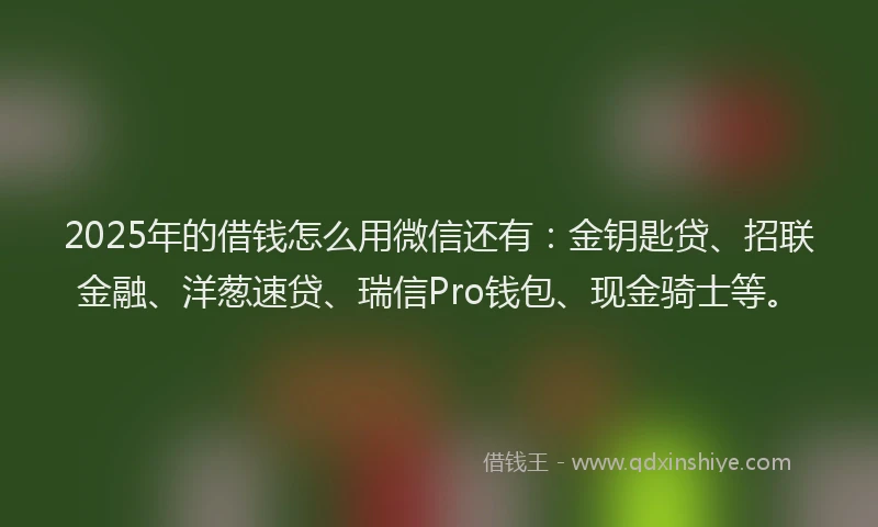 2025年的借钱怎么用微信还有：金钥匙贷、招联金融、洋葱速贷、瑞信Pro钱包、现金骑士等。
