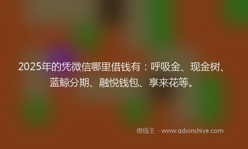 2025年的凭微信哪里借钱有：呼吸金、现金树、蓝鲸分期、融悦钱包、享来花等。