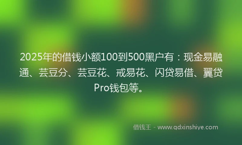 2025年的借钱小额100到500黑户有：现金易融通、芸豆分、芸豆花、戒易花、闪贷易借、翼贷Pro钱包等。