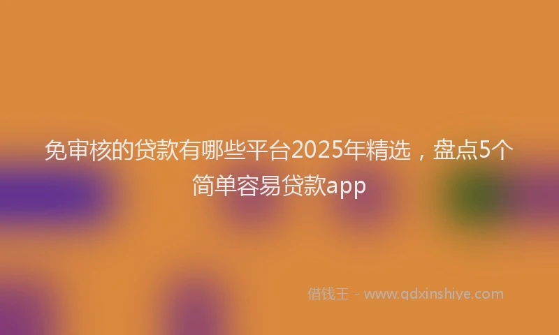 免审核的贷款有哪些平台2025年精选，盘点5个简单容易贷款app